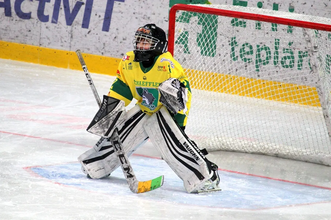 Ishockeymålmand foran målet